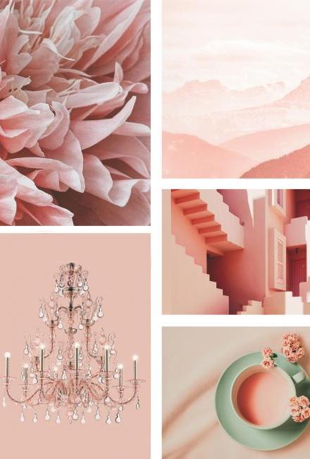 Think Pink: Aprenda mais sobre os tons e combinações do rosa